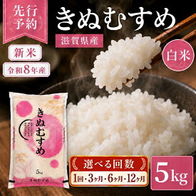 【ふるさと納税】【令和8年産】 米 近江米 白米 5kg 先行予約 新米 きぬむすめ 精米 こめ コメ お米 ご飯 キヌムスメ 5キロ 度産 令和八年産 滋賀県 豊郷町　お届け：2026年10月より順次発送