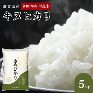 【ふるさと納税】【先行予約】令和7年産甲良米「キヌヒカリ」白米 5kg お米 こめ コメ おこめ 白米 キヌヒカリ  お届け:2025年9月下旬より順次出荷