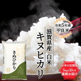 【ふるさと納税】令和5年産甲良米「キヌヒカリ」白米 5kg×10ヵ月　【定期便・お米・定期便】