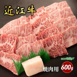 yӂ邳Ɣ[Łzߍ]oēp 600g(GR)   W܂ j Cxg ē H O Y