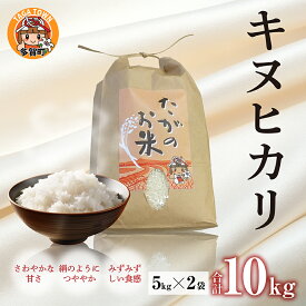 【ふるさと納税】【令和5年産】キヌヒカリ10kg（5kg × 2袋） おいしい多賀のお米 [B-00401] / 滋賀県産 多賀町 米 お米 白米 ご飯 精米 袋 国産 送料無料