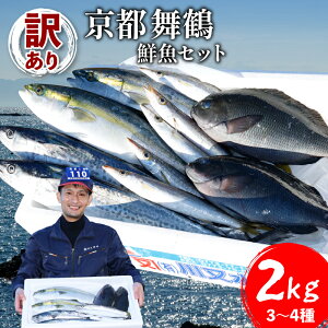 yӂ邳Ɣ[Łz 󂠂 s N lߍ킹Zbg 3`4 2kg 2L {̋ G߂̋ { Zbg lߍ킹 ܂ I l NxQ VN ① ܂邲 ۂ hg hg 
