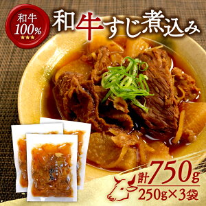 yӂ邳Ɣ[Łz aύ 750gi250g×3܁ja ύ Ⓚ     ͂̂  ӂ邳Ɣ[  ϕ   ؒÐs s