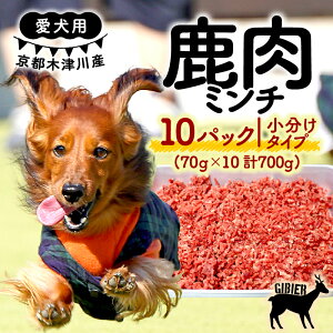 yӂ邳Ɣ[Łz p ~` 700g (70g×10pbN) (   ~`  p q  Y hbOt[h  a GT ^pN ybgpi ybg  gbsO WrG 