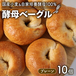 yӂ邳Ɣ[Łz yx[O 10 v[ YƔ|{y 100 p  y؃p Ⓚp x[O VRy Ⓚ lߍ킹  H ͂  Hה 