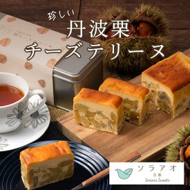 【ふるさと納税】2027年1月中旬発送 丹波栗 チーズテリーヌ マロン和栗 お菓子 スイーツ ケーキ テリーヌ 贈答 プレゼント 冷凍 京都府 綾部 ソラアオ