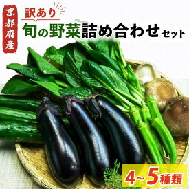 【ふるさと納税】 【訳あり】旬の野菜詰め合わせ セット 4〜5種類 野菜 旬 訳あり 訳アリ わけあり ワケアリ 野菜 旬 美味しい おいしい 箱詰め セット品 詰め合わせ 冷蔵 京田辺市 京都 京都村康