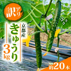 【ふるさと納税】 【訳アリ】きゅうり 3kg (夏野菜 訳あり キュウリ 胡瓜 京都府 野菜 サラダ おつまみ 夏 漬物 ボリューム ファミリー 料理 キュウリ 20本 5000円