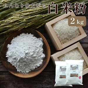 yӂ邳Ɣ[Łzs ̗̂Ăg ӂdオ ĕ 2kg Oet[ iY   p ĕ ߂   zbgP[L pP[L P[L َq X