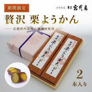 【ふるさと納税】 【10月〜4月発送】 贅沢 栗ようかん2本入り 京都 綾部 和菓子 贈り物 贈答 プレゼント ギフト 手作り 栗 くり 大栗 小豆 こしあん 銀寄栗 羊羹 プレゼント 丹波 スイーツ 栗