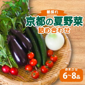【ふるさと納税】 《6月～9月発送》 期間限定 京都 朝採れ 有機栽培の夏野菜セット おまかせ 6～8種（有機野菜 野菜セット 有機野菜セット 野菜 詰め合わせ 京野菜 京都 なす コーン ミニトマト きゅうり 野菜 夏野菜 おまかせ 有機 栽培 季節限定 ）