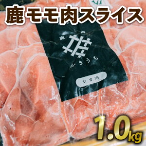 yӂ邳Ɣ[Łz XCX 600g ~ 1kg WrG   XCX  V`[ [Jc ␻T_  Ⓚ s{