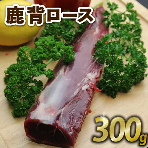 yӂ邳Ɣ[Łz w[X 300g WrG   Ԑg Ⓚ s{