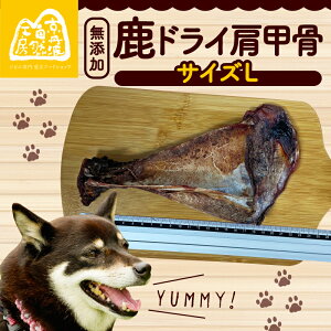 yӂ邳Ɣ[Łz hCb IׂTCY S(17`19cm)AM(20`22cm)AL(23cmȏ) ybgpi ybgObY ybgt[h hbOt[h Y b {[  N Y ̂ Xg