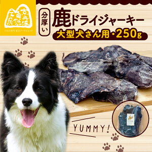 yӂ邳Ɣ[Łz IhCW[L[ 1 250g W[L[ ybg ybgpi  Ck p ybgt[h hbOt[h hCt[h   ̂ ̂ ؂ 