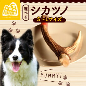 【ふるさと納税】 シカツノ 選べる S~Lサイズ 鹿の角 鹿角 おもちゃ ペット おすすめ 国産 いぬ イヌ 犬 わんちゃん 犬のおもちゃ 犬用おもちゃ イヌのおもちゃ ペット用品 デンタルケア しつけ 甘噛み防止 口臭対策 歯石除去 安心 天然素材 京都 京丹波町 京丹波自然工房
