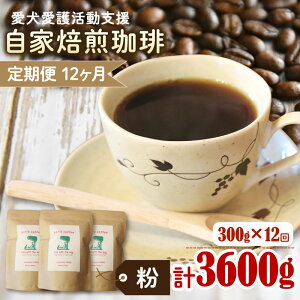 yӂ邳Ɣ[Łz ann's cafe 蓤 Iׂ  y  or  z 900g ~ 3.6kg ( R[q[ R[q[   [   hbv o ACXR[q[  