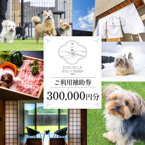 yӂ邳Ɣ[Łz DOGVILLAؓs [Og[ ƈꏏɔ܂h Iׂ z 3000~ ~ 30~ p⏕ s yA Ƒ h p h h  N[|   ό  H