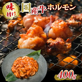 【ふるさと納税】 国産牛 ホルモン ホソ 味付け 400g いづつ屋 ( 焼肉 BBQ 国産 牛肉 ホソ 牛 肉 特製 タレ漬け ホルモン焼き もつ 小分け 冷凍 送料無料 京都 )