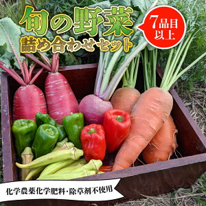 【ふるさと納税】 【先行予約】 旬のお野菜セット 詰め合わせ (7〜10品目) 旬 野菜 国産 こだわり 京都府産 京丹波町産 季節 セット 有機肥料 化学農薬不使用 化学肥料不使用 除草剤不使用
