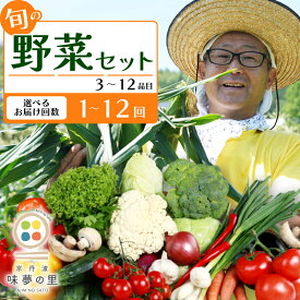 【ふるさと納税】 野菜セット 3~12品目 [単品/定期便] 1回 3回 6回 12回 おまかせ お試し 京野菜 野菜定期 季節の野菜 旬の野菜 野菜箱 野菜 セット カット 旬 季節 自然 国産 冷蔵 BBQ 詰め合わせ 詰合せ 春野菜 夏野菜 秋野菜 冬野菜 京都 丹波 京丹波町 道の駅 味夢の里