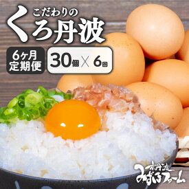 【ふるさと納税】 京都丹波のこだわりたまご くろ丹波 30個 ~ 選べる 単品 定期便 割れ保証 3回 6回 12回 国産 定期 卵 たまご タマゴ 玉子 セット 鶏卵 鶏 卵黄 濃い 卵焼き 小分け パック 家庭用 贈答 ギフト 日用品 日用 京丹波町 丹波 京都府 京都 20個 10000円以下