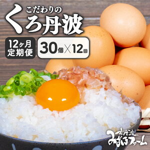 yӂ邳Ɣ[Łz  s Oĝ肽܂ uOgv PiE 3 612 3J 6J 12Ji ʎq Zbg {  3   6   12 12P 