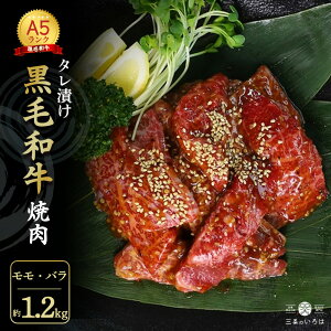 yӂ邳Ɣ[Łz I Y јa A5 ^Ђ ē p  o 1.2kg lp  l  Mtg Ⓚ   Ђ LjN ₫ɂ Ă ē BBQ o[xL[ Lv 