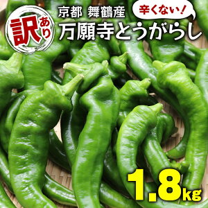 yӂ邳Ɣ[Łz 󂠂 莛Ƃ炵 1.8kg i 900g ×2 j  hȂ 莛Ƃ炵  Ƃ炵 莛 VN Yn _ƒ  s  ㍪_