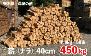 yӂ邳Ɣ[Łz d ܂ 450kg 9kg 50 40cm d dXg[u   Y Lv AEghA gF Xg[u t@C[  ؉ ݕǂ̐d