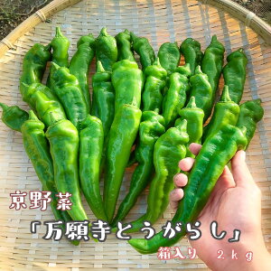 yӂ邳Ɣ[Łz y2025NĔz u莛Ƃ炵v 炭ȂIÂ i  2kg 4lȏp ` Ƃ炵 莛 s[} ^  Ė _ƒ g u