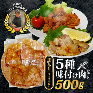 【ふるさと納税】 【訳あり】味付け肉 5種類セット 500g 特製つけだれ 味付け肉 漬け込み肉 お手軽焼肉 今夜の一品 焼くだけ てっちゃん みそ味 とりもも 塩だれ味 上ミノ 味噌漬け コク 甘み