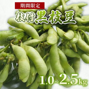 yӂ邳Ɣ[ŁzIׂ yԌz s{Y }t } 1kg i500g×2j@1.5kg i500g×3j@2.5kg i500g×5j } ܂ s ܂ r[ Ė  T_ VՂ 哤