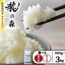 【ふるさと納税】 龍の森 真空パック キヌヒカリ こだわり 選べる 無洗米 精白米 1パック 300g お米 米 こめ ご飯 白米 コメ ごはん おにぎり 真空包装 小分け 旨味 甘み 特別栽培米 AM酵素農法 賞味期限 6ヶ月 長期保存 非常用 備蓄 アウトドア キャンプ 京都府 南丹市 日吉