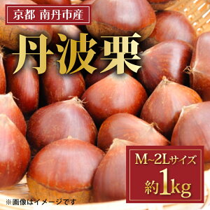 yӂ邳Ɣ[Łz yԌz OgI 1kg M~2LTCY ( I   Y 嗱 XC[c ʕ H { Og I aI Os s{ s 10000~ 10000 1~ )