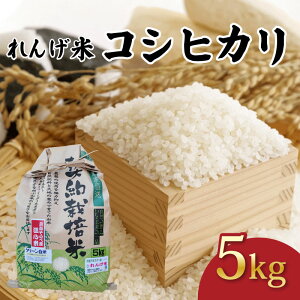 �y�ӂ邳�Ɣ[�Łz �ߘa7�N�Y �R�V�q�J�� ���� 5kg ��񂰕� �����Ђ��� ���� ���� ���Y �� ���� �R�� ���� ������ ���� ���͂� ���� �ӂ邳�Ɣ[�ŕ� ���s ���s�{ ��O R7 2025�N�Y