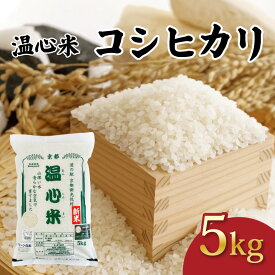 【ふるさと納税】 令和7年産 コシヒカリ 精米 5kg 温心米 こしひかり 精米 白米 国産 米 こめ コメ お米 おこめ ご飯 ごはん 白飯 ふるさと納税米 京都 京都府 南丹 R7 2025年産