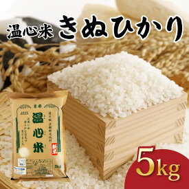 【ふるさと納税】 令和7年産 キヌヒカリ 精米 5kg 温心米 きぬひかり 精米 白米 国産 米 こめ コメ お米 おこめ ご飯 ごはん 白飯 ふるさと納税米 京都 京都府 南丹 R7 2025年産