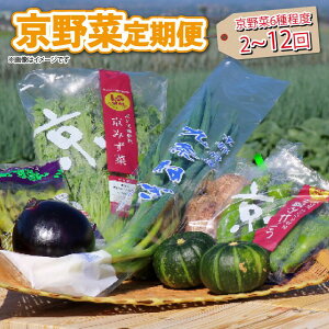 yӂ邳Ɣ[Łz y Iׂ  z   6 x  2 4 6 12  lߍ킹 s ؃Zbg G { h{H lM 莛 ΂Ȃ ʌ ① T_ BBQ o[
