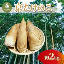 楽天市場】たけのこ 朝掘り 2kgの通販