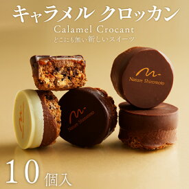 【ふるさと納税】 焼き菓子 キャラメルクロッカン 10個入 キャラメル クロッカン チョコ チョコレート カカオ スイーツ お菓子 おやつ デザート 洋菓子 ギフト プレゼント 贈り物 京都 八幡 パティスリーナチュールシロモト ナチュールシロモト