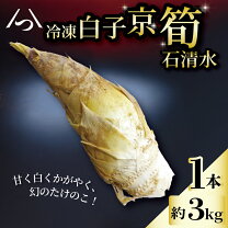 楽天市場】たけのこ（総重量（野菜）3.0 ～ 3.9kg）（その他野菜｜野菜 超早掘り筍３キロ（御節用）