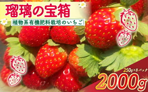 yӂ邳Ɣ[Łzs\ JASF ڗ̕ AnL@엿gp Iׂ e 500g 1000g 2000g s2026N3`5t L@ L@엿 JAS   I[KjbN Xgx[ t[c P[
