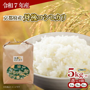 yӂ邳Ɣ[Łz ߘa7NY V ORVqJ 5kg Iׂ  30kg 15kg Pi /  3 / 6    Y uh  s ͂ RVqJ 2025Nx JA JAs s{Y 
