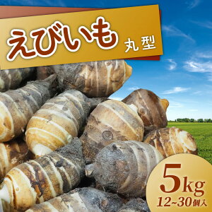 yӂ邳Ɣ[Łzy Ԍ zт ی^ Iׂ e 2kgE5kg Gi  Ƃ  Y VN { {   uh s{ Ԍ  s   