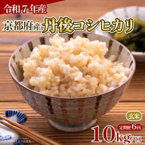 �y�ӂ邳�Ɣ[�Łz �ߘa7�N�Y �V�� ���� �O��R�V�q�J�� 5kg 10kg �I�ׂ� �e�� �� �P�i / ����� 3�� / 6�� �i�� ���� ���� ���Y �u�����h�� ���� ���s ���͂� �R�V�q�J�� 2025�N�x JA JA���s ��