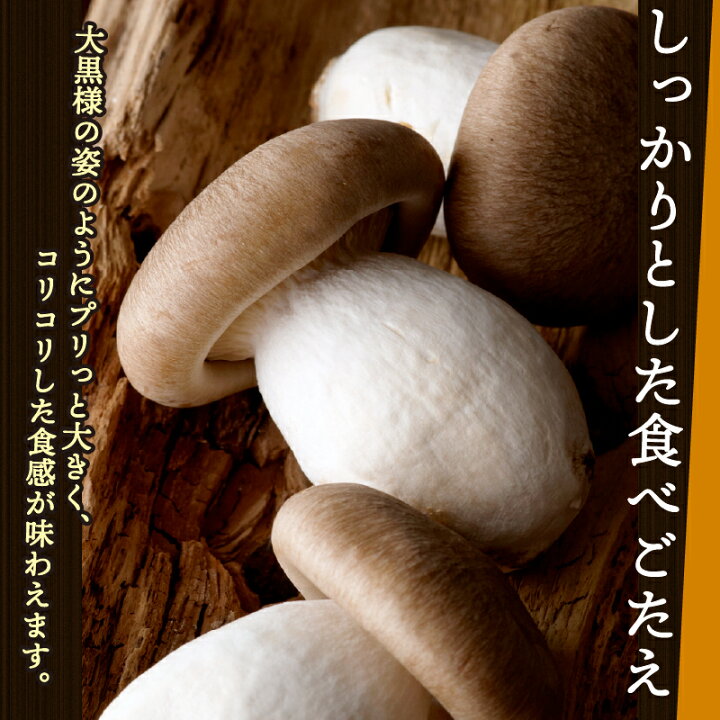 楽天市場】【ふるさと納税】 京丹波 大黒本しめじ 400g ( 京野菜 大黒 シメジ様専用まとめ買い
