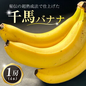 yӂ邳Ɣ[Łz n noii 1[ (4~5{) n@d ʕ oii ΂Ȃ  H  ʎ t[c fU[g XC[c Ö  nMiyabi zs s{