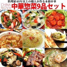 【ふるさと納税】中華料理 9種9品 セット チャイナノーヴァ | 京都府 京都市 京都 中華 惣菜 中華専門店 グルメ セット 酢豚 八宝菜 海老 チリソース 麻婆豆腐 野菜 海鮮 フカヒレ 玉子 スープ ナス 餃子 チャーハン 逸品 お取り寄せ お土産 グルメ