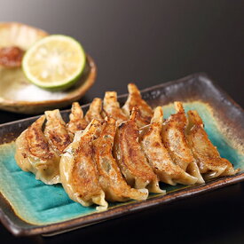 【ふるさと納税】【餃子の虜や】虜や餃子と大葉餃子のハーフ&ハーフセット| 餃子 虜や餃子 大葉餃子 セット 15個入り 各2パック 冷凍 逸品 お取り寄せ グルメ ご当地 ギフト お祝い 内祝い ご自宅用 ご家庭用 虜や 京都府 京都市